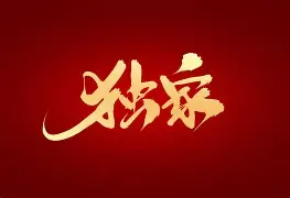 独家：Rookie惊艳表现的简单介绍